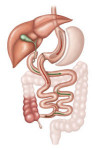 Derivação Bilio-pancreática (Duodenal-switch)